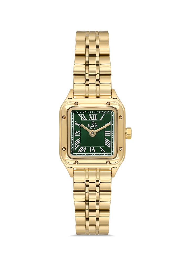 PLATİN PİERRE KADIN KOL SAATİ