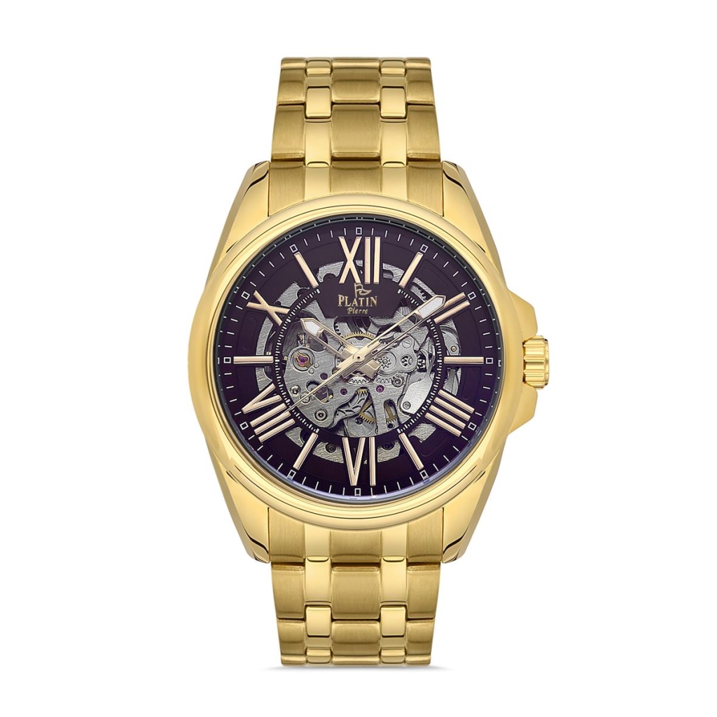 PLATİN PİERRE ERKEK KOL SAATİ