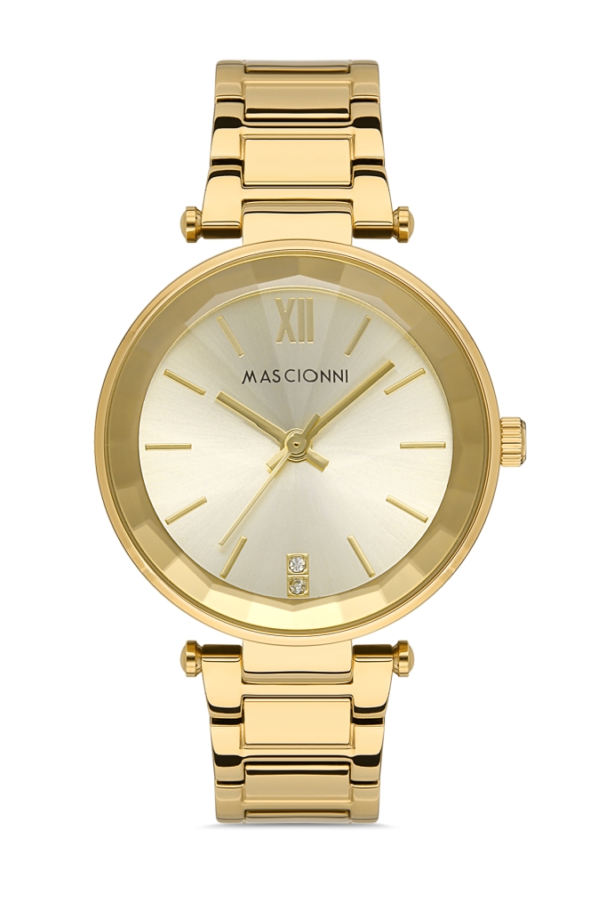 PLATİN PİERRE ERKEK KOL SAATİ