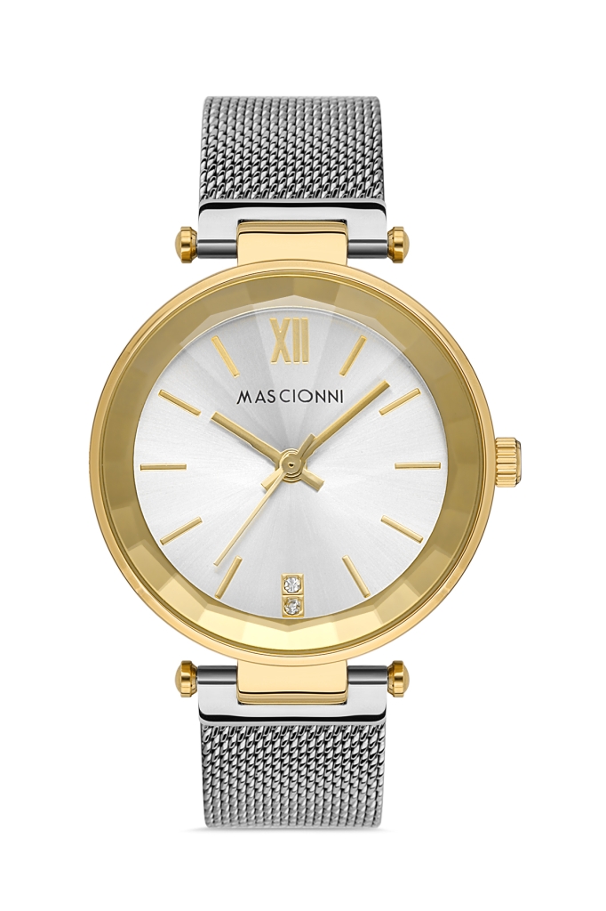 PLATİN PİERRE ERKEK KOL SAATİ