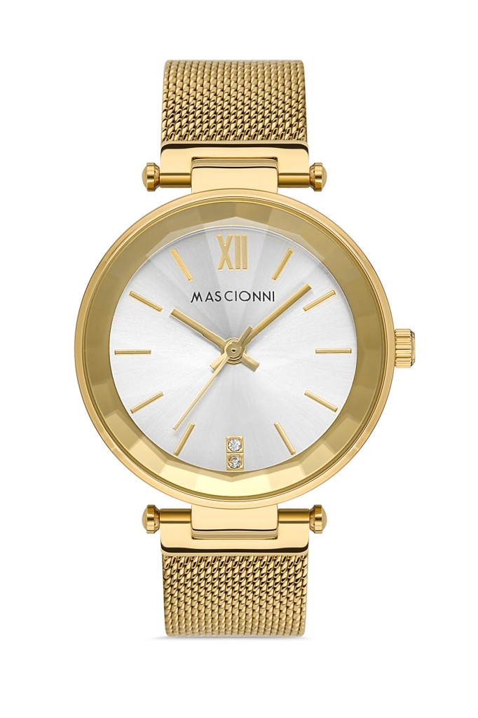 PLATİN PİERRE ERKEK KOL SAATİ