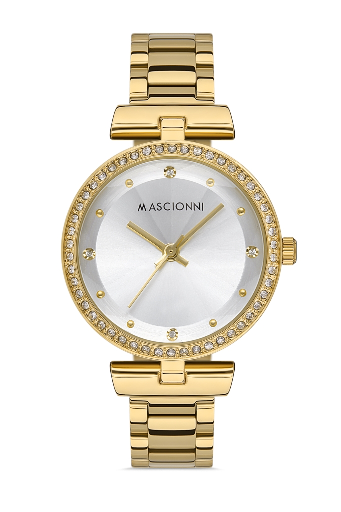 PLATİN PİERRE ERKEK KOL SAATİ