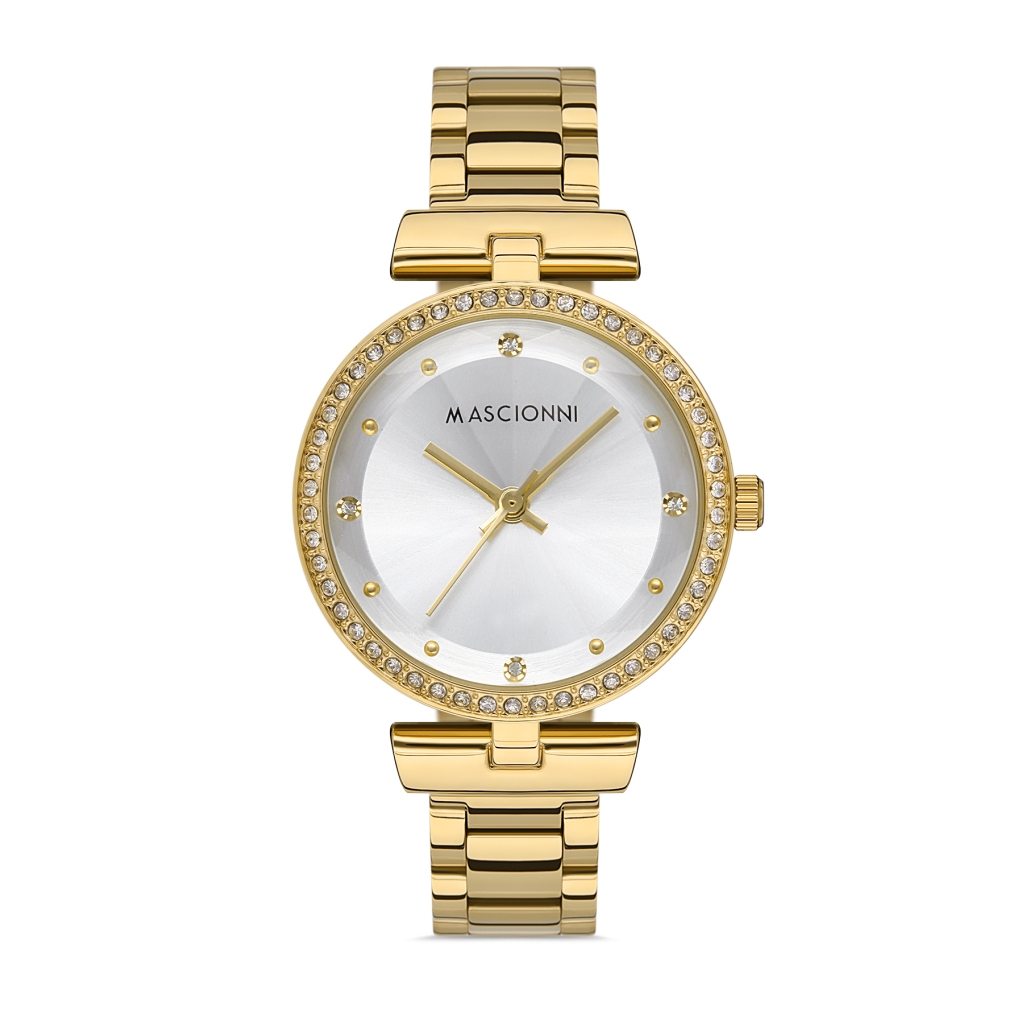 PLATİN PİERRE ERKEK KOL SAATİ