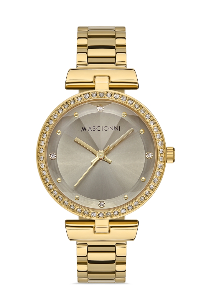 PLATİN PİERRE KADIN KOL SAATİ