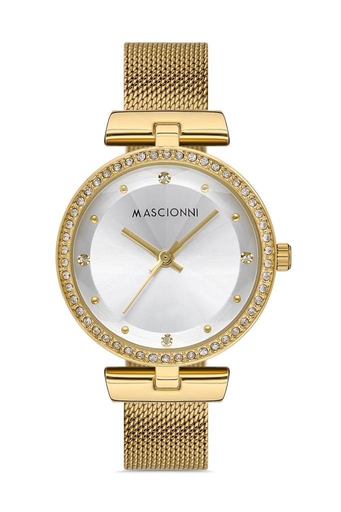 PLATİN PİERRE KADIN KOL SAATİ