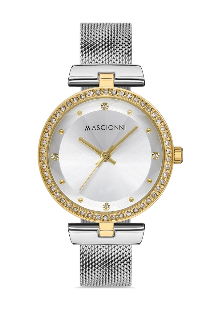 PLATİN PİERRE KADIN KOL SAATİ