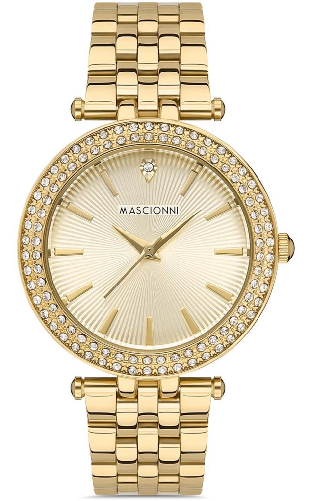 PLATİN PİERRE ERKEK KOL SAATİ