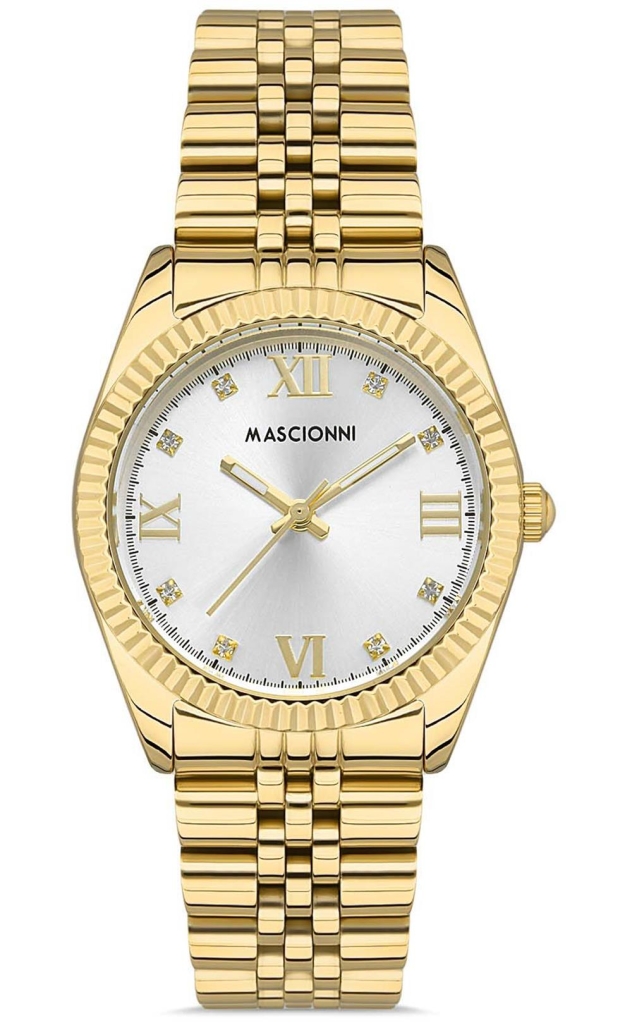 PLATİN PİERRE ERKEK KOL SAATİ