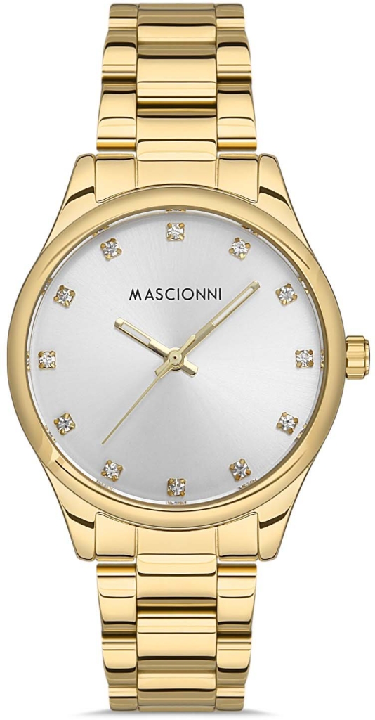 PLATİN PİERRE KADIN KOL SAATİ