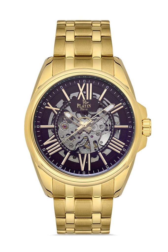 PLATİN PİERRE ERKEK KOL SAATİ