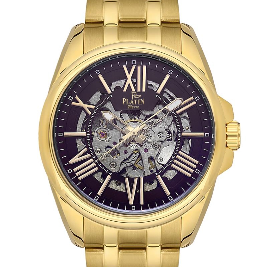 PLATİN PİERRE ERKEK KOL SAATİ