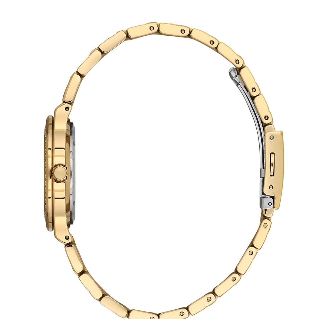 PLATİN PİERRE KADIN KOL SAATİ