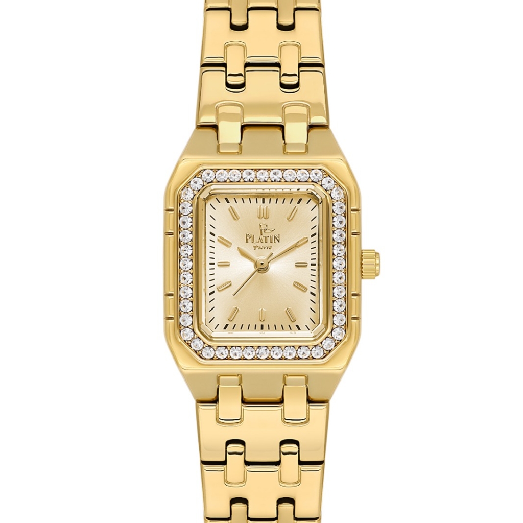 PLATİN PİERRE KADIN KOL SAATİ