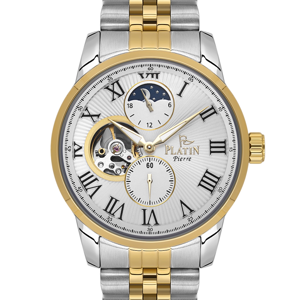 PLATİN PİERRE ERKEK KOL SAATİ