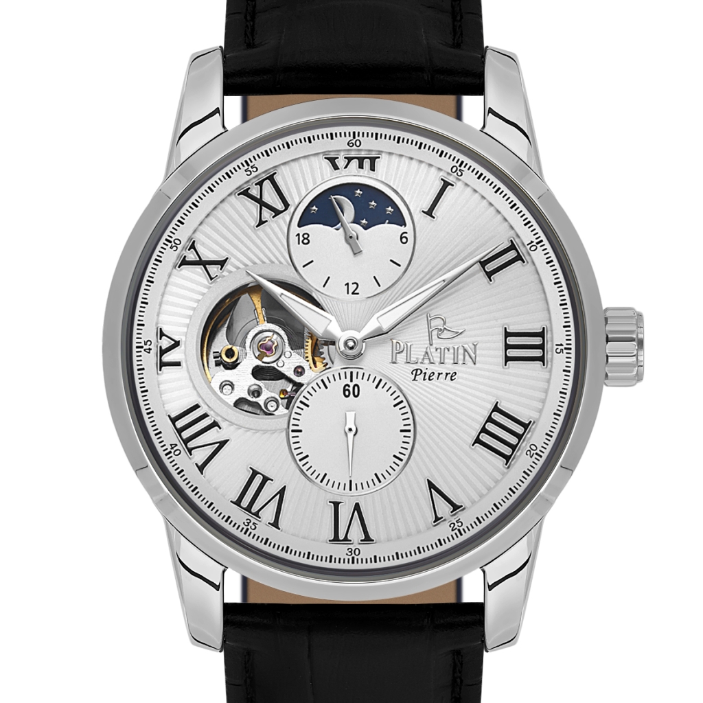 PLATİN PİERRE ERKEK KOL SAATİ