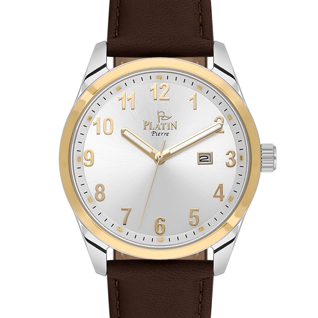 PLATİN PİERRE ERKEK KOL SAATİ