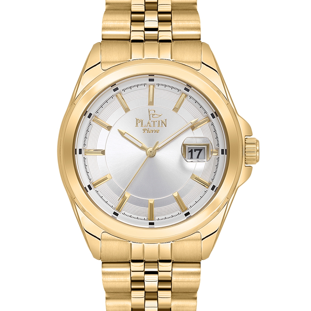 PLATİN PİERRE ERKEK KOL SAATİ