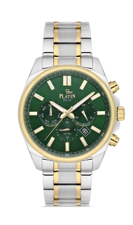 PLATİN PİERRE ERKEK KOL SAATİ